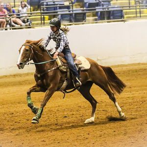 Meet your Posher, Anna